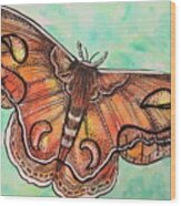 Ink And Watercolor Moth A Delicate Flight Wood Print
