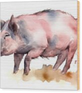 Watercolor Single Wild Boar Pig Animal Isolated On A White Backg Wood Print