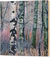 Watercolor Woods, Oxbow Bend, Wyoming Wood Print