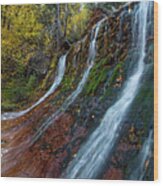 Waterfall In The Left Fork Of Zion Wood Print