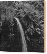 Waterfall In The Middle Of Carvalhais Forest. Monochrome Wood Print