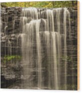 Waterfalls In The Fall Wood Print