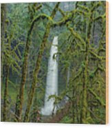 Waterfalls In The Oregon Forest Wood Print
