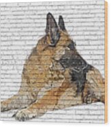 Way Too Cool, German Shepherd Dog - Brick Block Background Wood Print