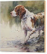 Welsh Springer Spaniel By The River Wood Print