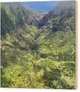 West Maui Forest Reserve Wood Print