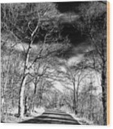Where The Road Leads At The South Mountain Reservation In New Jersey Wood Print