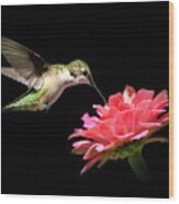 Whispering Hummingbird Wood Print