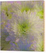 White And Green Chrysanthemums 5 Wood Print