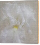 White Iris Iv Wood Print
