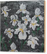 White Irises Wood Print