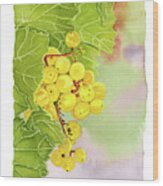 White Italian Grapes On The Vine Wood Print