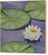 White Lotus And Lily Pad Pond Wood Print