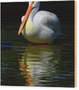 White Pelican Of The Night Wood Print