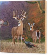 Whitetail Deer Art Print - American Heartthrob Wood Print