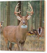 Whitetail Deer Art Print - The Legend Wood Print