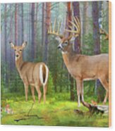 Whitetail Deer Art Print - Wildlife In The Forest Wood Print