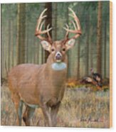 Whitetail Deer Art Squares - The Legend Wood Print
