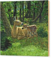 Whitetail Deer - First Spring Wood Print