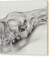 Wild Boar Skull And Metamorphosis Of Life 1 Wood Print