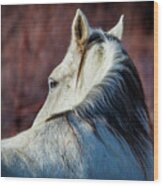 Wild Horse No. 3 Wood Print