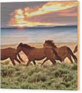 Wild Horses At Dusk Wood Print