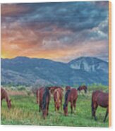 Wild Horses At Sunset Wood Print