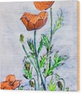 Wild Poppies Wood Print