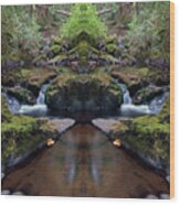 Wilson Creek Paradise Mirror #1 Wood Print