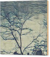 Winter Branches Wood Print