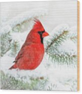 Winter Cardinal Square Wood Print