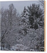 Winter Clothesline Wood Print