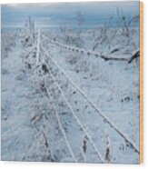 Winter Fence In Alberta Canada Wood Print