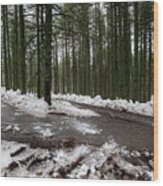 Winter Forest Landscape With Snow On The Ground Wood Print