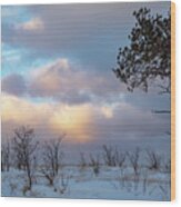 Winter On Lake Superior Beach Wood Print
