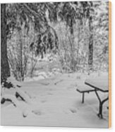 Picnic Table In Snow Wood Print