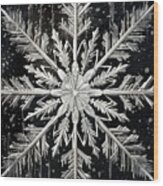 Winter Snowflake Wood Print