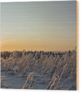 Winter Sunset In Finland Wood Print