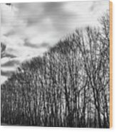 Winters Contrasts Wood Print