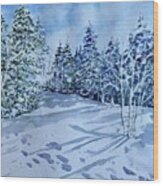 Winter's Serenity Wood Print