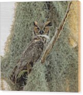 Wizard Of Owl Wood Print