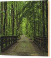 Wooded Path Wood Print