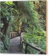 Wooden Bridge On A Firest Hiking Trail Wood Print