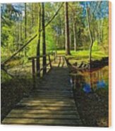 Tree Nursery Of Bear River  /national Park In Latvia Wood Print