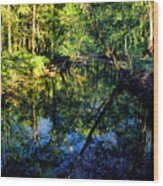 Woodland Calm No.18 - Accotink Stream Reflections Wood Print