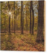 Woodland Light Wood Print