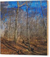 Woods With Deep Blue Sky Wood Print