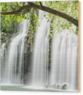 Xxxl: Panoramic Of Tropical Waterfall With Backlit Leaves Wood Print