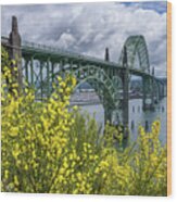 Yaquina Bay Bridge Scotch Broom Blooms Wood Print