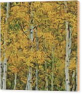 Yellow Aspen Leaves Wood Print